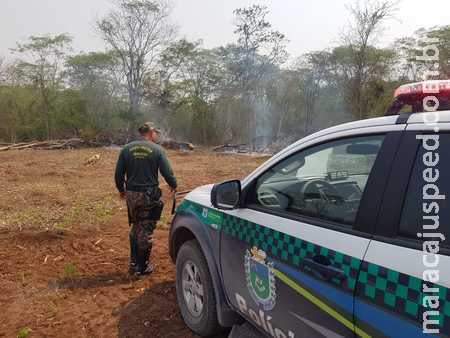 No PA Eldorado, após ser autuado por ter animais em reserva, agora mesmo autor será investigado por desmatamento No PA Eldorado, após ser autuado por ter animais em reserva, agora mesmo autor será investigado por desmatamento