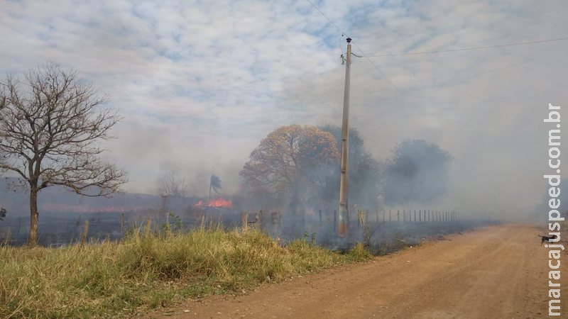 Para limpar pasto, fazendeiro ateia fogo em vegetação, mas é multado em R$ 4,3 mil pelo incêndio