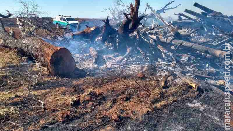 PMA flagra incêndio em galhos e troncos em andamento e autor é multado em R$ 27 mil PMA flagra incêndio em galhos e troncos em andamento e autor é multado em R$ 27 mil