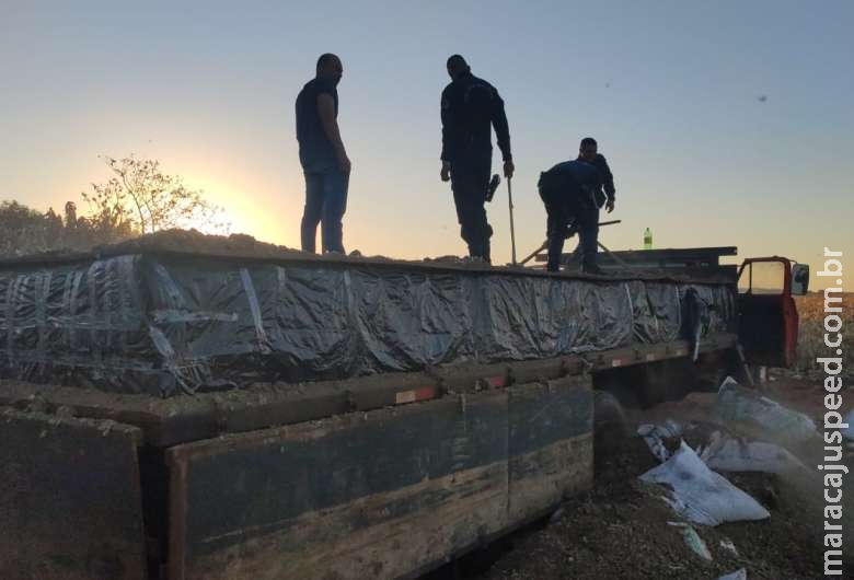 Polícia apreende mais de oito toneladas de maconha em Distrito