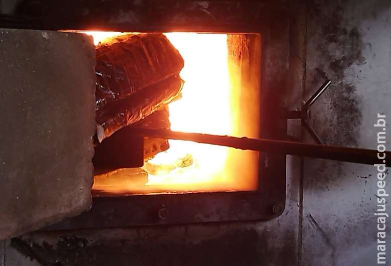 Polícia incinera mais de 30 toneladas de drogas em Dourados