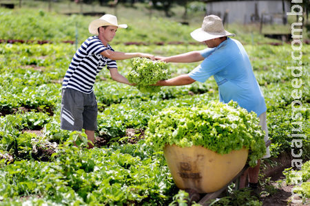 Prefeitura inicia entrega de alimentos adquiridos da agricultura familiar 