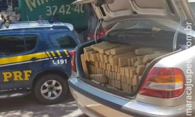 PRF apreende 861 Kg de maconha em Terenos (MS) 