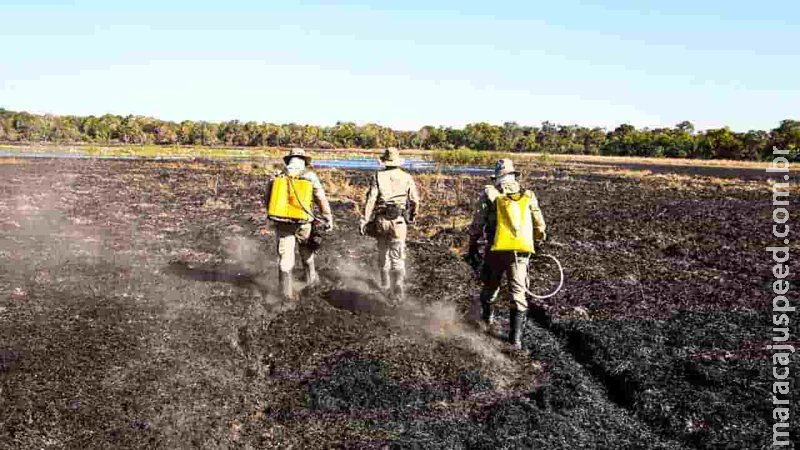 Primeiros dias de julho começa com disparada no número de focos de incêndio em MS Primeiros dias de julho começa com disparada no número de focos de incêndio em MS