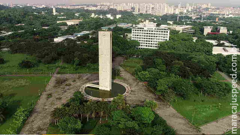 USP oferece cursos gratuitos e online na área de humanidades