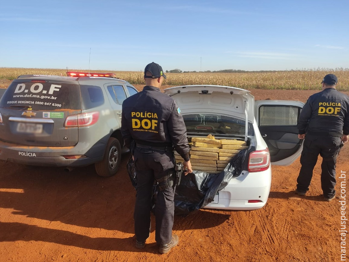 Veículo que seguia para São Paulo com mais de 400 quilos de maconha foi apreendido pelo DOF durante a Operação Hórus Veículo que seguia para São Paulo com mais de 400 quilos de maconha foi apreendido pelo DOF durante a Operação Hórus