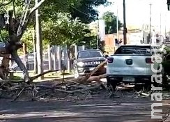 VÍDEO: Vento derruba poste, causa incêndio e deixa bairros sem energia em Campo Grande VÍDEO: Vento derruba poste, causa incêndio e deixa bairros sem energia em Campo Grande