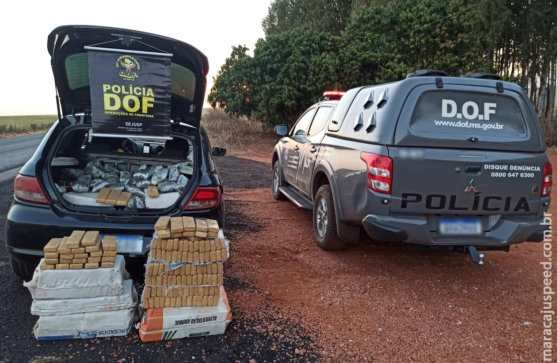Veículo que seguia para o Rio Grande do Sul com mais de 340 quilos de drogas foi apreendido pelo DOF durante a Operação Hórus