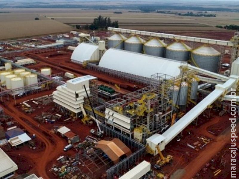 Ações do Governo MS contra Covid-19 impulsionam setor industrial 