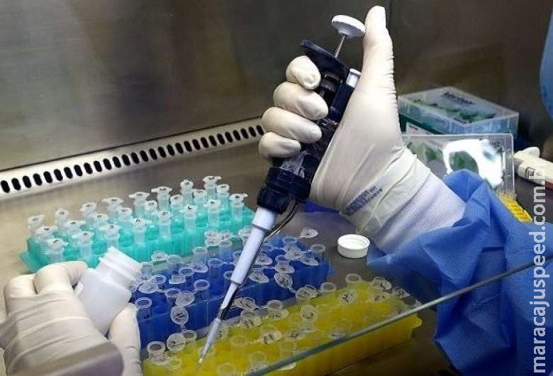 Agosto tem menor número de mortes e casos por covid no ano em MS Agosto tem menor número de mortes e casos por covid no ano em MS