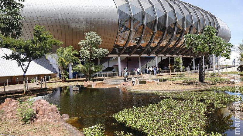 Após ter sido desclassificada, empresa entra novamente com recurso em licitação do Aquário do Pantanal Após ter sido desclassificada, empresa entra novamente com recurso em licitação do Aquário do Pantanal