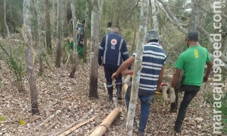 Árvore cai em homem de 46 anos na Fazenda Brejão