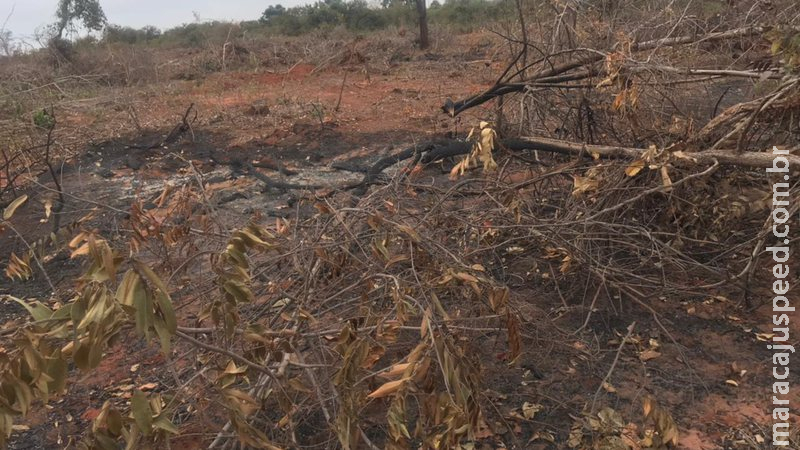 Assentado é multado por incêndio em área de pastagem e exploração ilegal