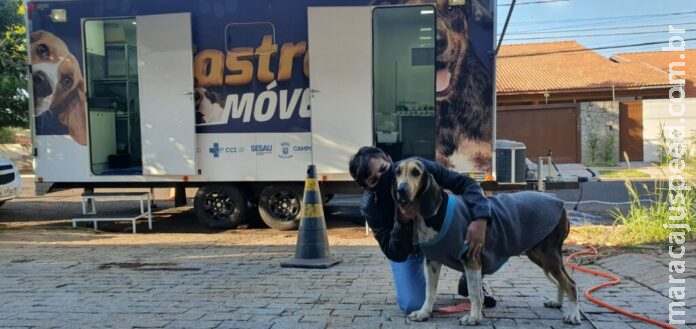 Castramóvel fará nova ação de castração a animais vítimas de maus tratos