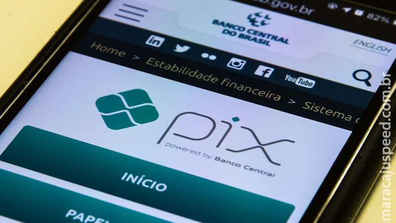 Cliente é presa ao dar golpe do PIX em pet shop na compra de 14 sacos de ração