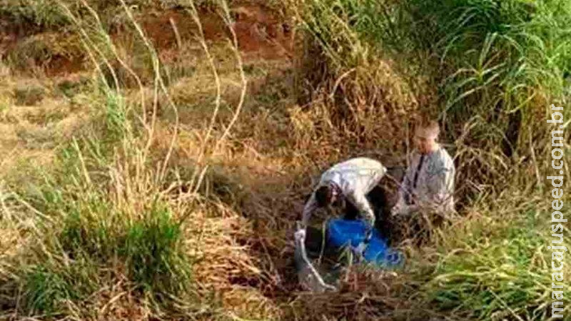 Corpo de homem é encontrado às margens de rodovia em MS