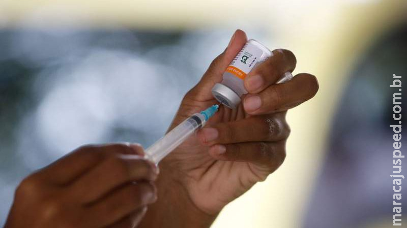 Covid-19: Pfizer entregará 17,6 milhões de doses até 22 de agosto