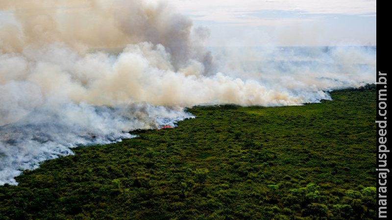 Deputados listam ‘pauta sustentável’ para possível votação antes da Conferência do Clima