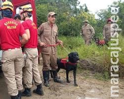 Desaparecido há 3 dias, homem é procurado por bombeiros com cães e drones Desaparecido há 3 dias, homem é procurado por bombeiros com cães e drones