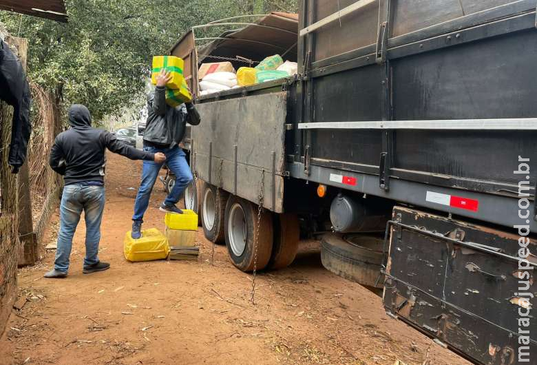 Em operação, polícia apreende grande quantidade de droga e prende cinco pessoas
