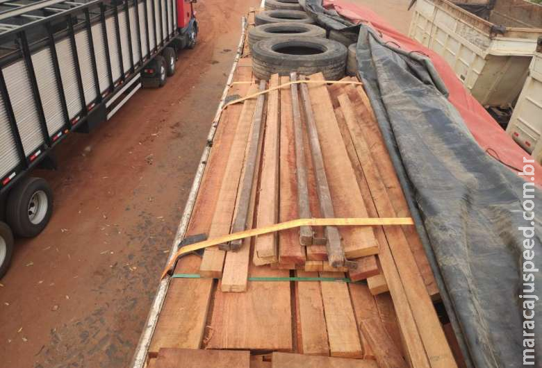 Empresa é multada em R$ 15 mil por transporte de madeira ilegal