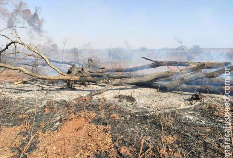 Empresário é autuado em R$ 12 mil por incêndio em pastagem