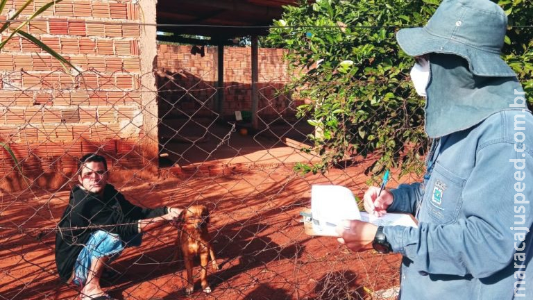 Equipes passam nas casas para fazer censo da população de cães e gatos em Campo Grande