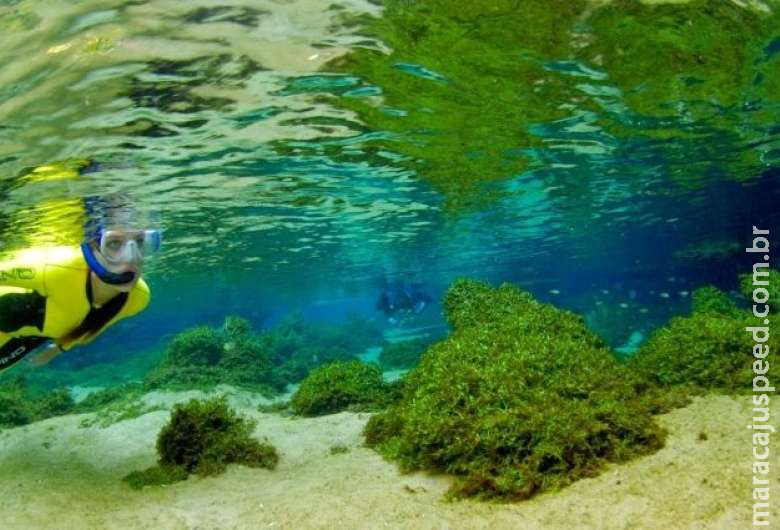 Governador lança hoje campanha promocional de Mato Grosso do Sul