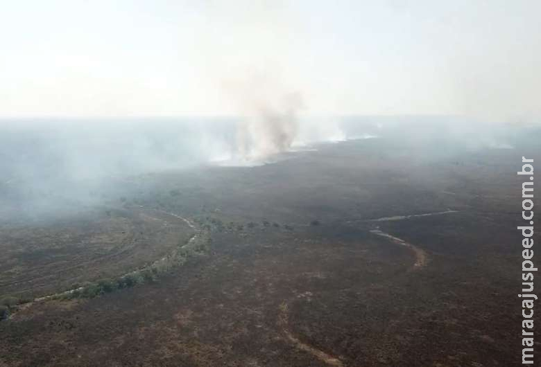 Homem é multado em mais de R$ 1 milhão por incêndio no Pantanal 