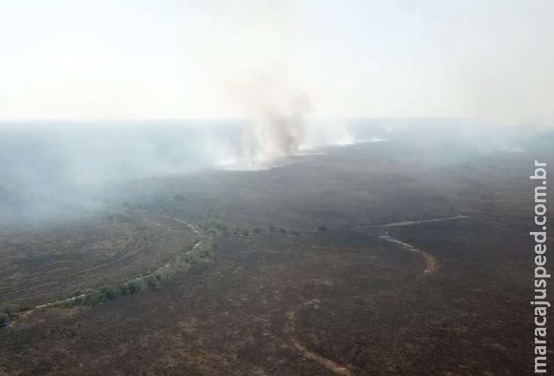 Homem é multado em mais de R$ 1 milhão por incêndio no Pantanal Homem é multado em mais de R$ 1 milhão por incêndio no Pantanal