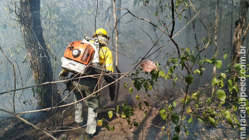 Incêndio de grandes proporções atinge Serra da Bodoquena e já consumiu 4 mil hectares em MS Incêndio de grandes proporções atinge Serra da Bodoquena e já consumiu 4 mil hectares em MS