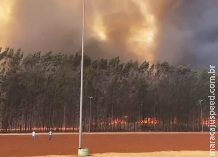 Incêndio de grandes proporções destrói lavouras ao lado da São Fernando Incêndio de grandes proporções destrói lavouras ao lado da São Fernando