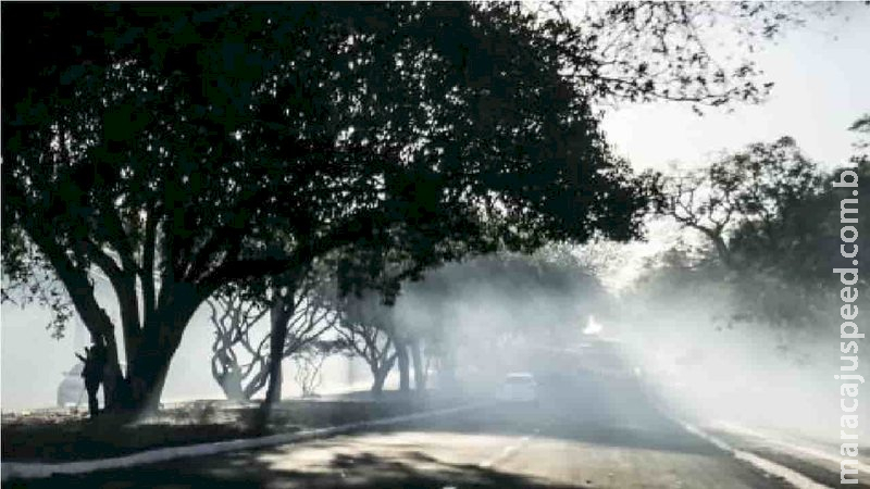 Incêndio no Parque dos Poderes pode ter sido criminoso e Polícia Civil investiga o caso 