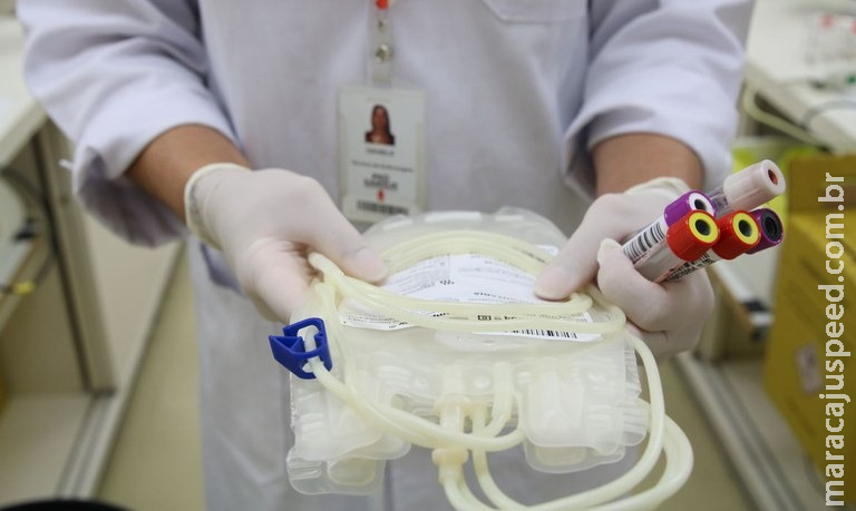 Mais de cinco milhões de pessoas estão cadastradas em rede de doadores de medula óssea