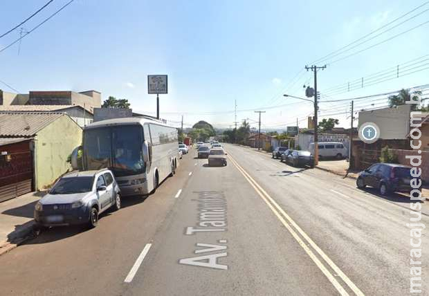 Mecânico é preso por manter pitbull trancado em jaula em Campo Grande