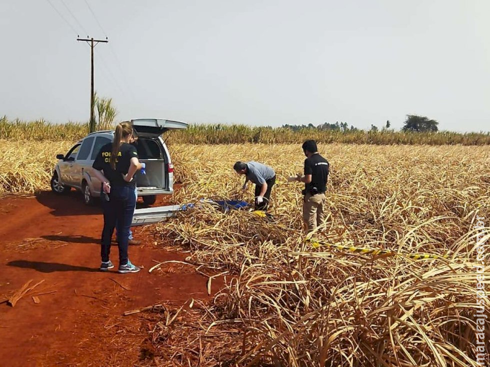 Mulher desovada em canavial há duas semanas ainda não foi identificada 
