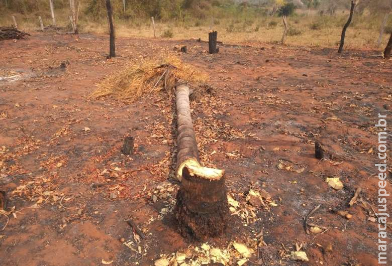 Mulher é multada em R$ 11 mil por incêndio em matas ciliares