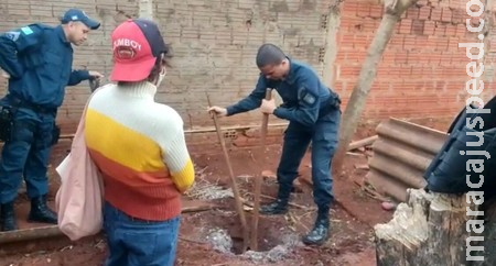 Mulher que matou tio com martelo e ocultou cadáver em Sidrolândia tinha 5 passagens pela policia