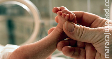 Onze bebês prematuros aguardam doações de leite materno em hospital da Capital