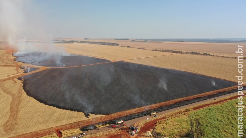 Pane elétrica em caminhão causa incêndio e destrói plantação em MS 