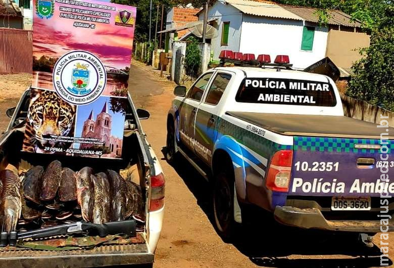 PMA multa pescador profissional e apreende 240 quilos de pescado e veículo