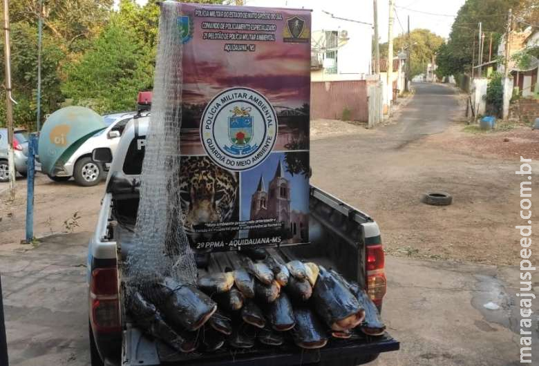 PMA prende e autua pescador profissional e apreende 134 kg de pescado