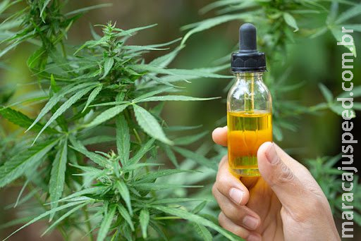 Por determinação Judicial, Prefeitura de Campo Grande fornece remédio à base de canabidiol a paciente Por determinação Judicial, Prefeitura de Campo Grande fornece remédio à base de canabidiol a paciente