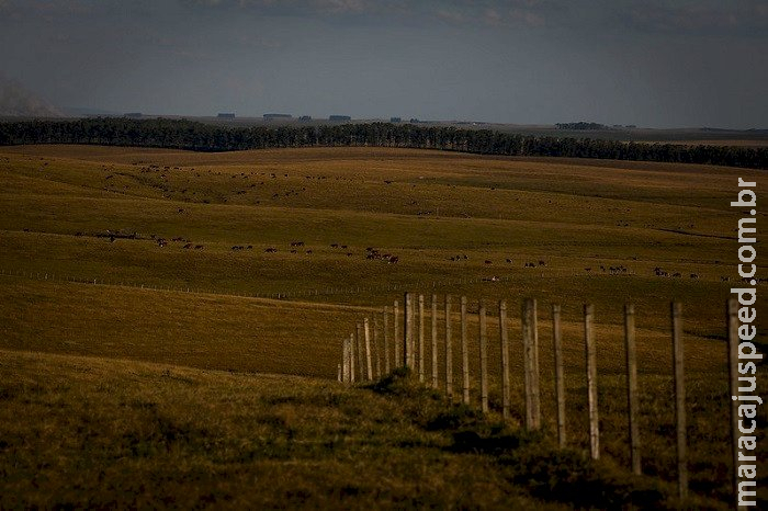 Prazo para entrega da declaração do ITR começa no dia 16 de agosto
