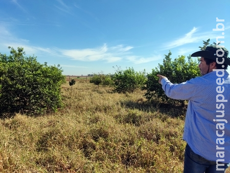 Prefeitura auxilia produtores rurais a se cadastrarem no projeto Rural Sustentável 