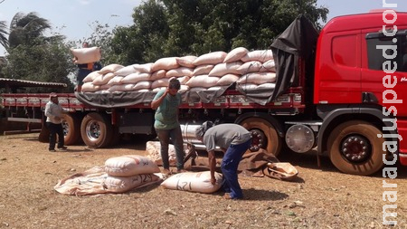 Prefeitura dá apoio a pequenos produtores que esperam colher 20 toneladas de urucum Prefeitura dá apoio a pequenos produtores que esperam colher 20 toneladas de urucum