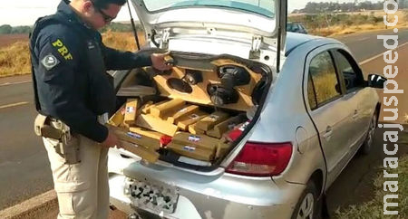 PRF apreende 246,1 Kg de maconha e 2,5 Kg de skunk em Sidrolândia 