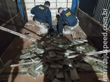 PRF apreende 276 Kg de cloridrato de cocaína em Mundo Novo (MS) 