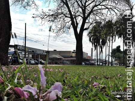 Primeira quinzena de agosto será marcada por calor e tempo seco 