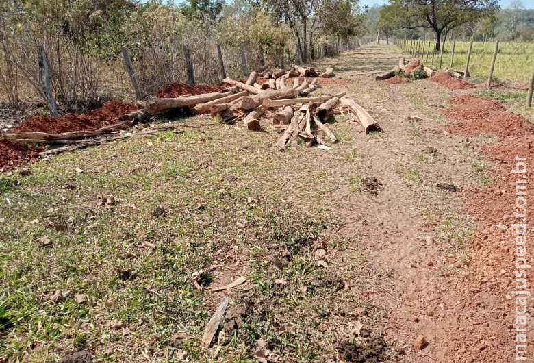 Proprietário rural é multado em R$ 21 mil por exploração ilegal de madeira Proprietário rural é multado em R$ 21 mil por exploração ilegal de madeira